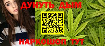 гашик Бийск