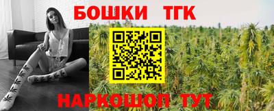 гашик Бийск